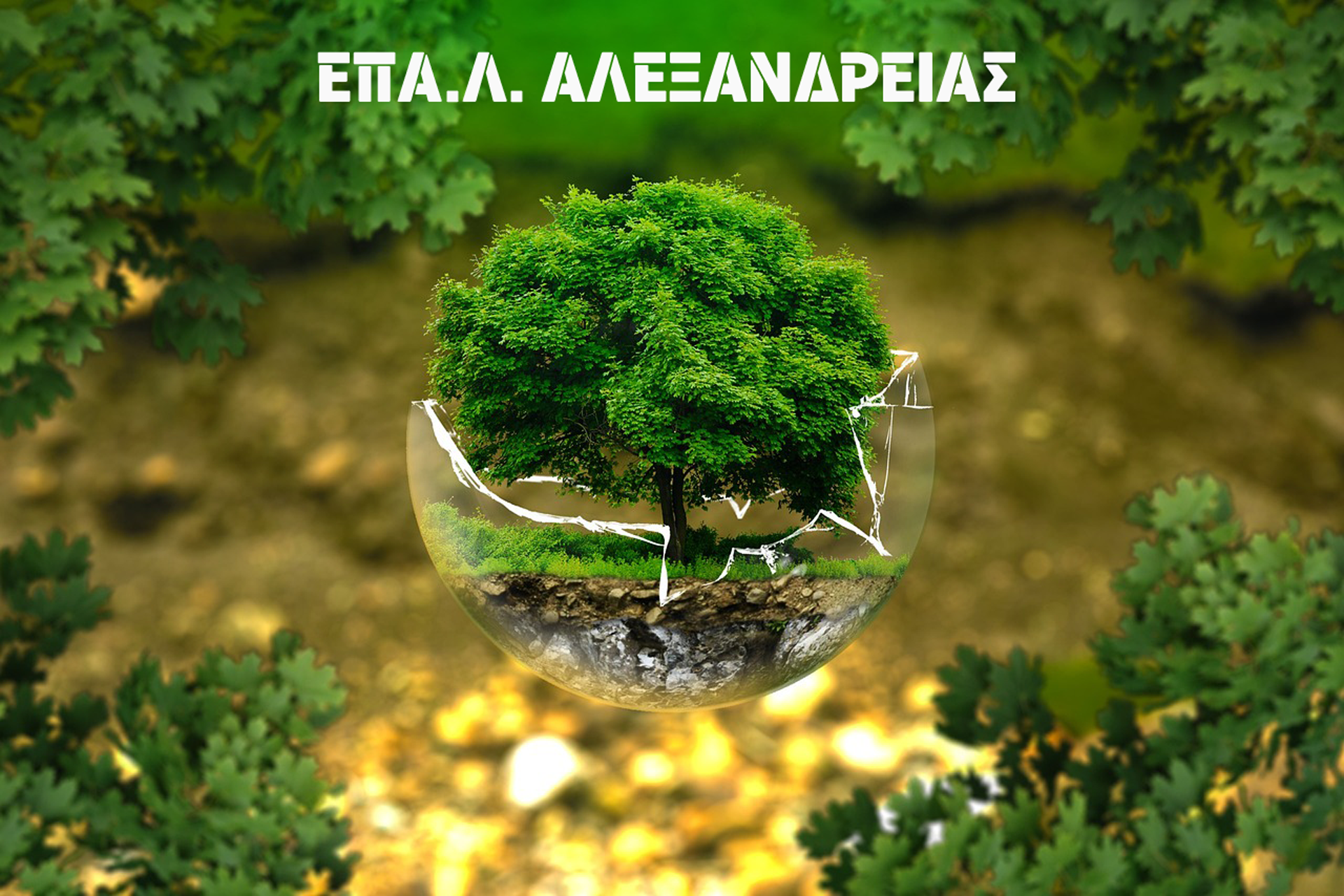 Πρόγραμμα Περιβαλλοντικής Εκπαίδευσης ΕΠΑΛ Αλεξάνδρειας σχολικής χρονιάς 2024-2025  «Κάνοντας το Σχολείο Μας Αειφόρο: Μειώνουμε τη σπατάλη τροφίμων στο ΕΠΑΛ Αλεξάνδρειας»