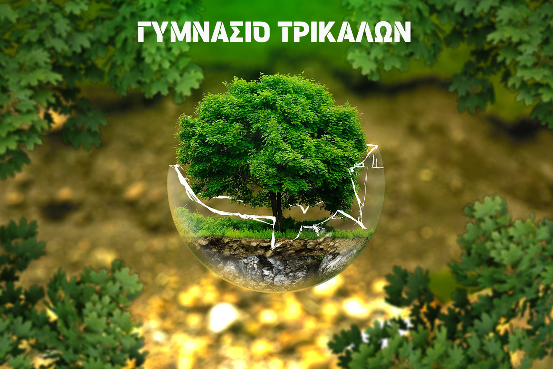 Περιβαλλοντικό πρόγραμμα 2023 - 2024